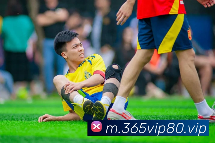 bet365官网APP 封面图